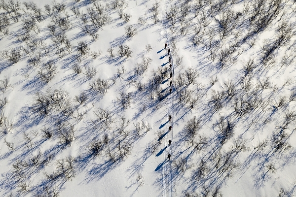 Siste etappe p ski til Engholm Husky Lodge