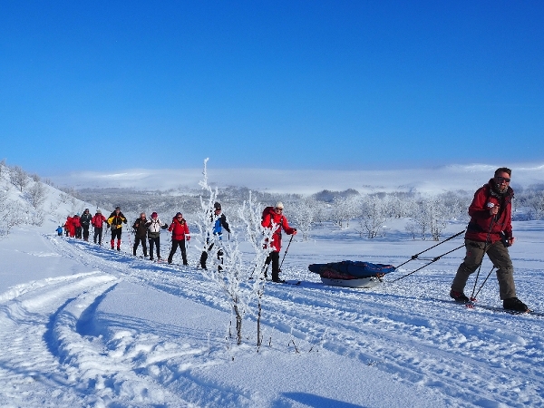 På ski over vidda til Øvre Mollisjok Fjellstue