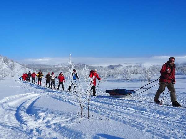 P ski over vidda til vre Mollisjok Fjellstue