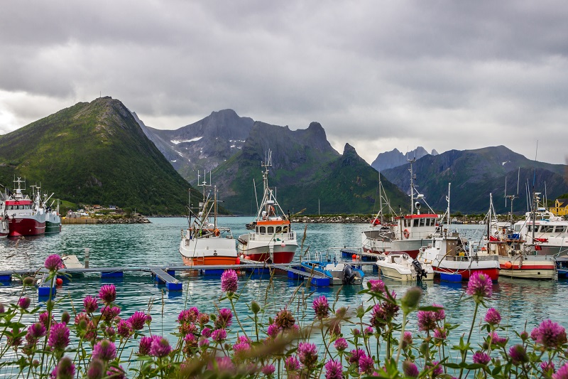 Troms  Senja - Andenes