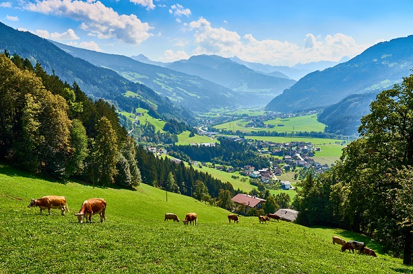 Salzburger Land og Tyrol	